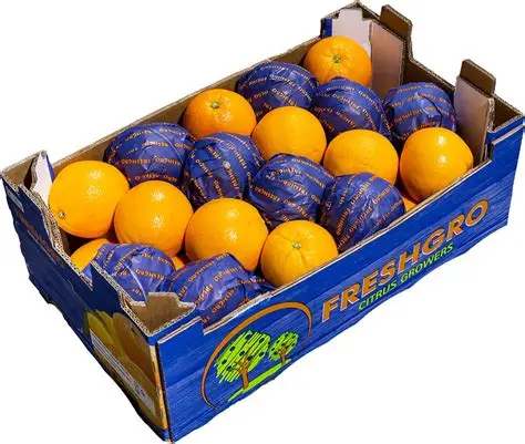 Citrus Export Boxes